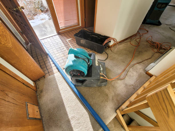Best Water damage restoration near me  in Sa Loma, CA