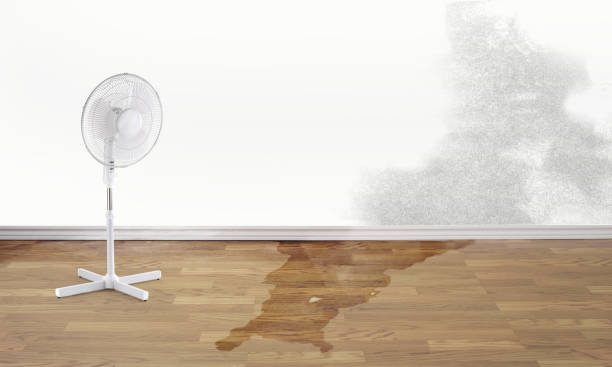  Sa Loma, CA Water damage restoration Pros