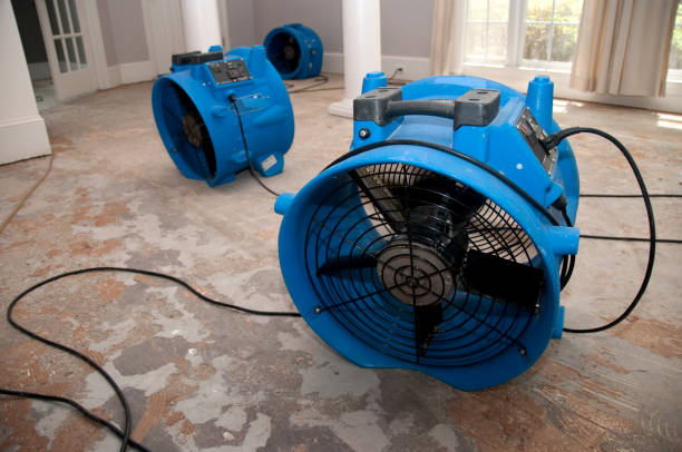 Best Carpet water damage restoration  in Sa Loma, CA