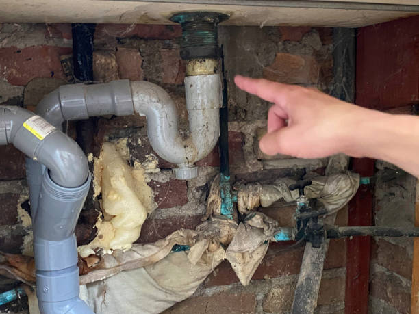 Best Professional water damage repair  in Sa Loma, CA